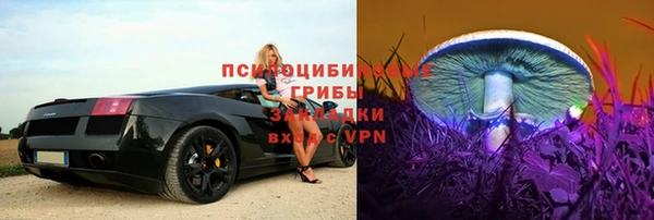 трава Абинск